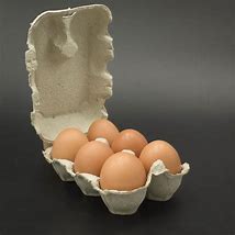 Oeufs plein air BOITE DE 6